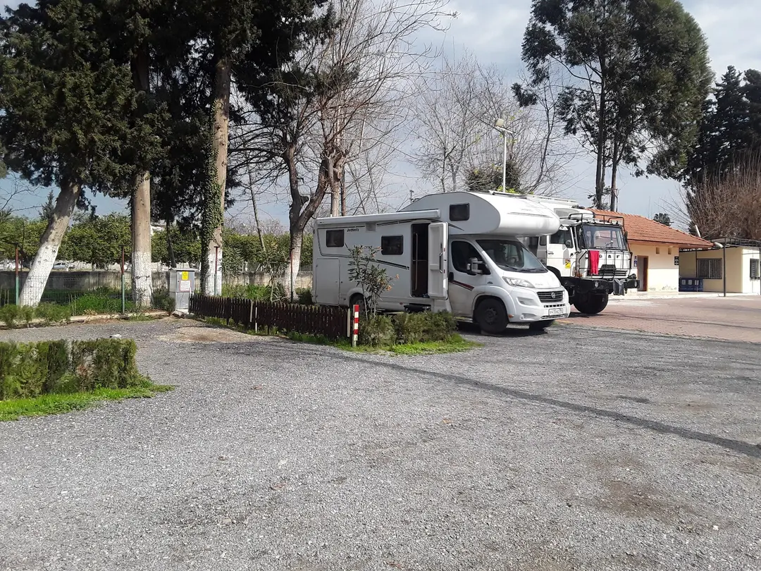 Tarsus