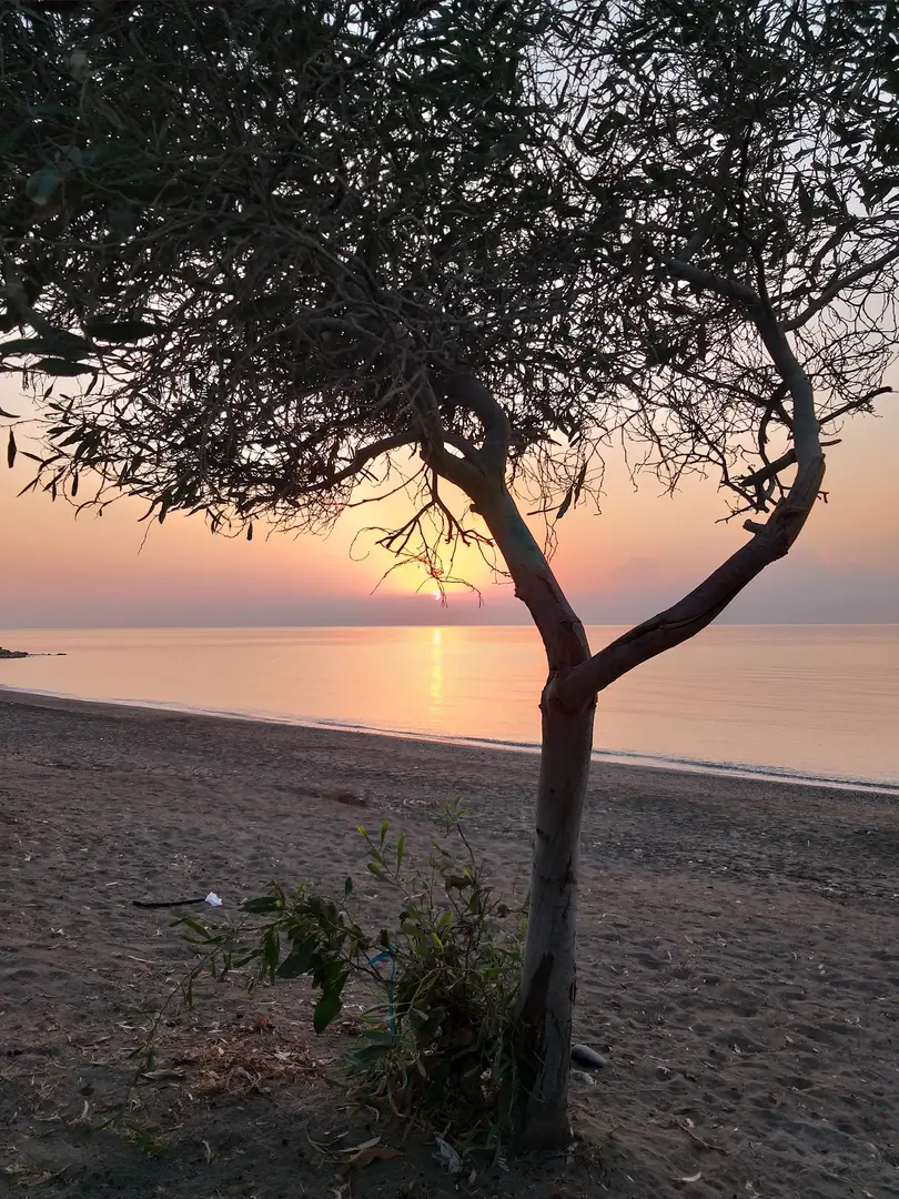 Günübirlik Kamping — Mersin — küçük resim 2