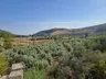 İÇME KAPLICASI