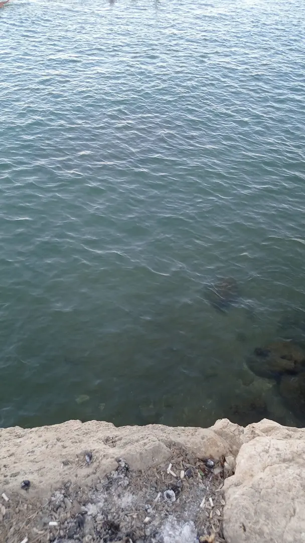 Zincirlikuyu Beach — Mersin — küçük resim 7