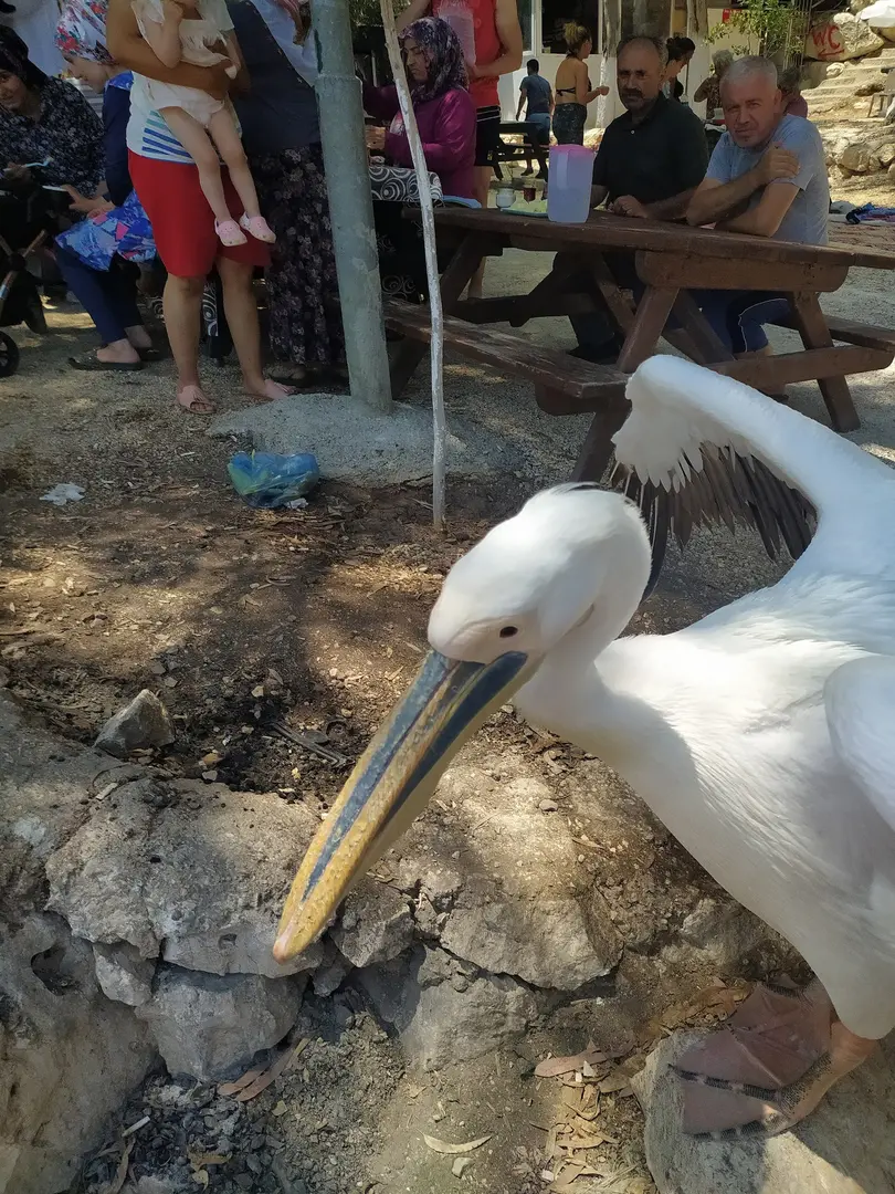 Zincirlikuyu Beach — Mersin — küçük resim 5