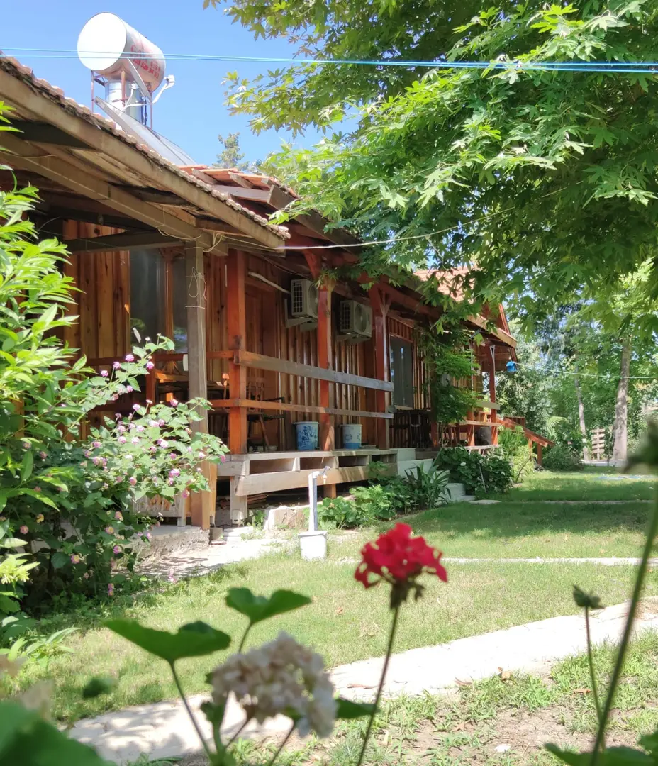 Dragon Motel — Mersin — küçük resim 6
