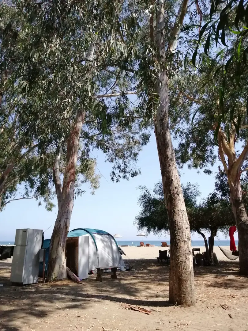 Dragon Motel — Mersin — küçük resim 5