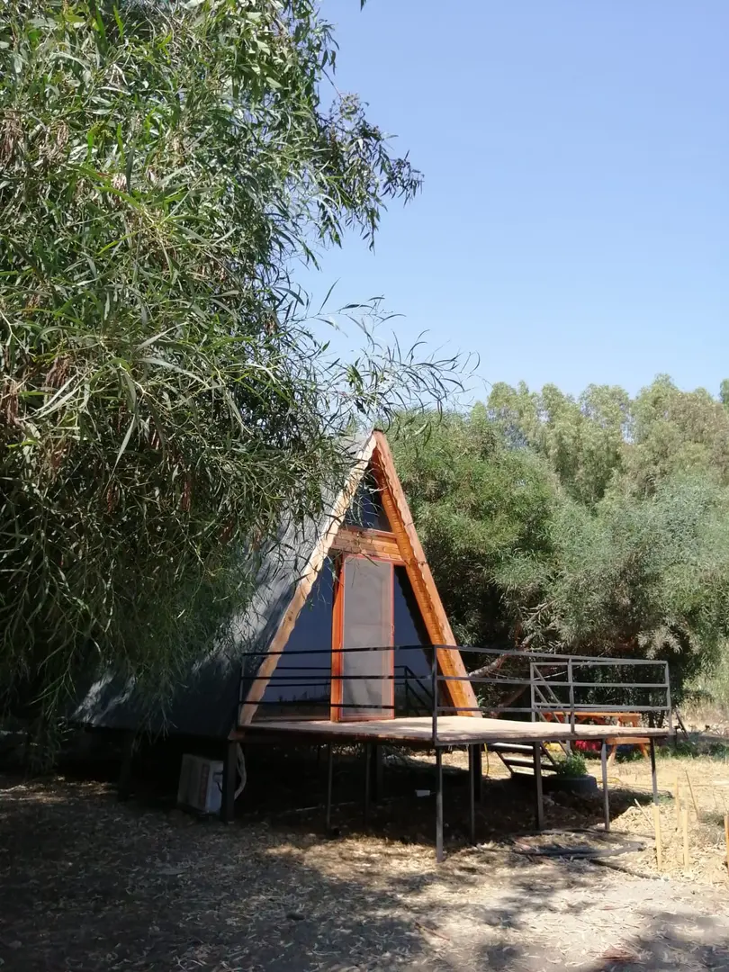 Dragon Motel — Mersin — küçük resim 3