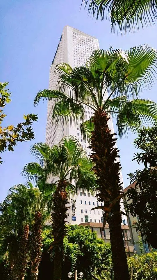 Mersin — Mersin — küçük resim 7
