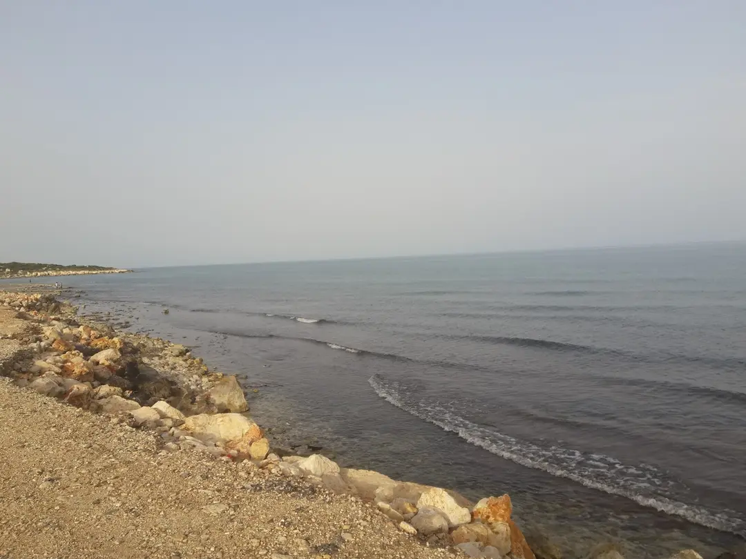 Paşasuyu Kpr. — Mersin — küçük resim 8