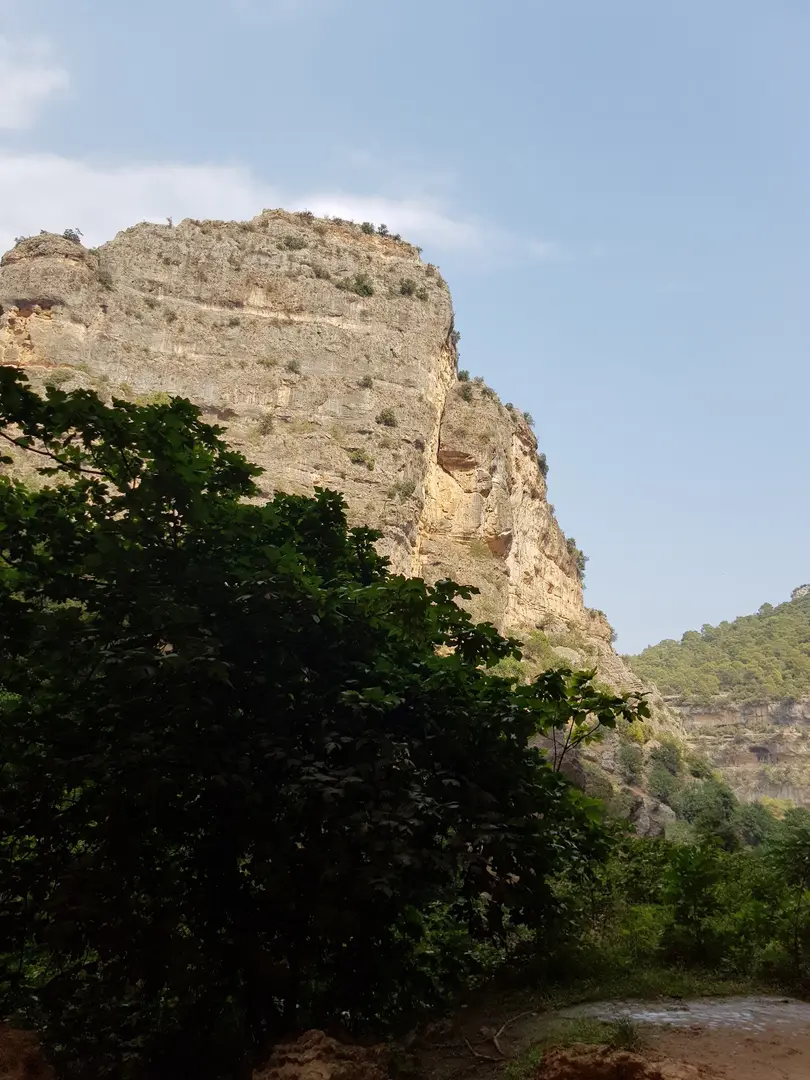 Paşasuyu Kpr. — Mersin — küçük resim 6