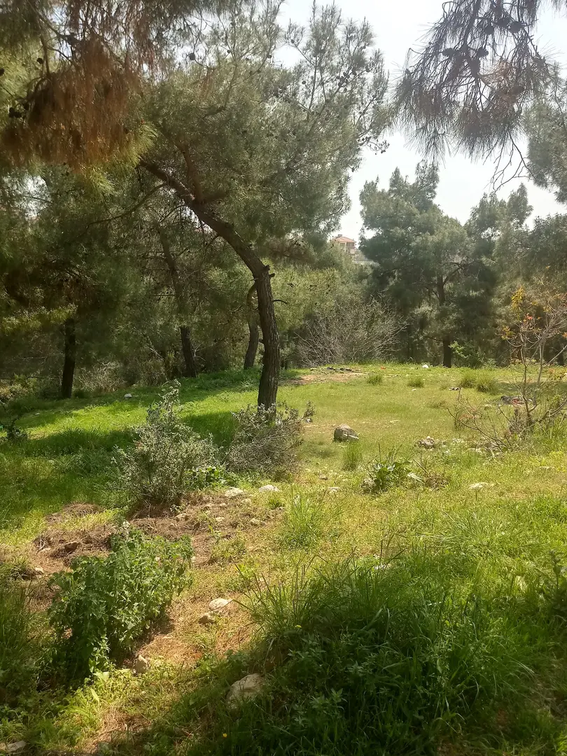 Kuyuluk Mesire Ve Piknik Alanı — Mersin — küçük resim 4