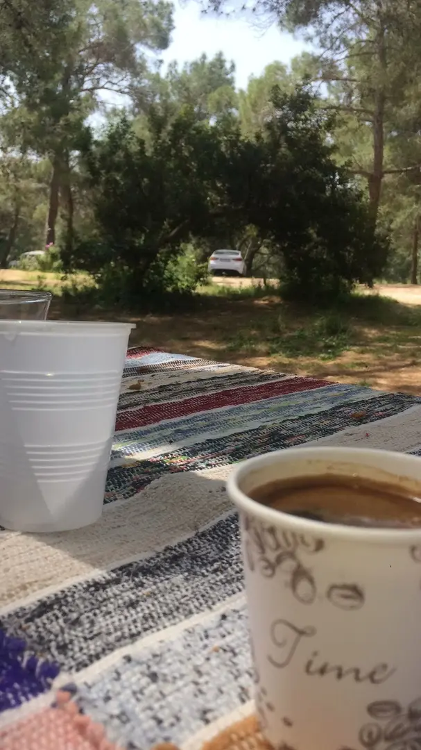 Kuyuluk Mesire Ve Piknik Alanı — Mersin — küçük resim 2