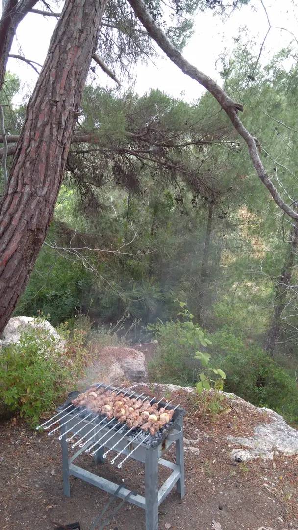 Kuyuluk Mesire Ve Piknik Alanı — Mersin — küçük resim 9