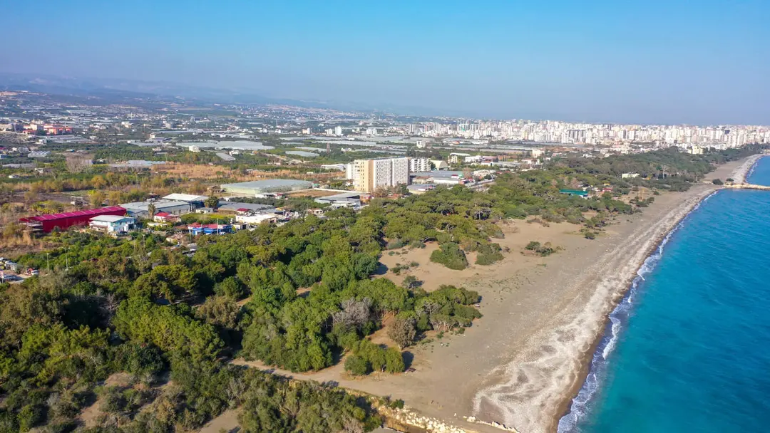 Erdemli Kommune Bungalow og Glamping Huse - Dobbelt- eller Twin Værelse med Haveudsigt — Mersin — küçük resim 6