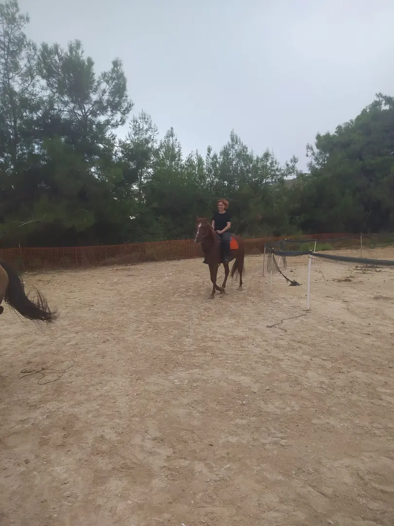 Nefes binicilk Bungolov evleri — Mersin — küçük resim 5