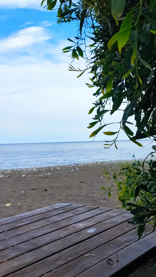 Erdemli Çamlığı Trekking Alanı — Mersin — küçük resim 3