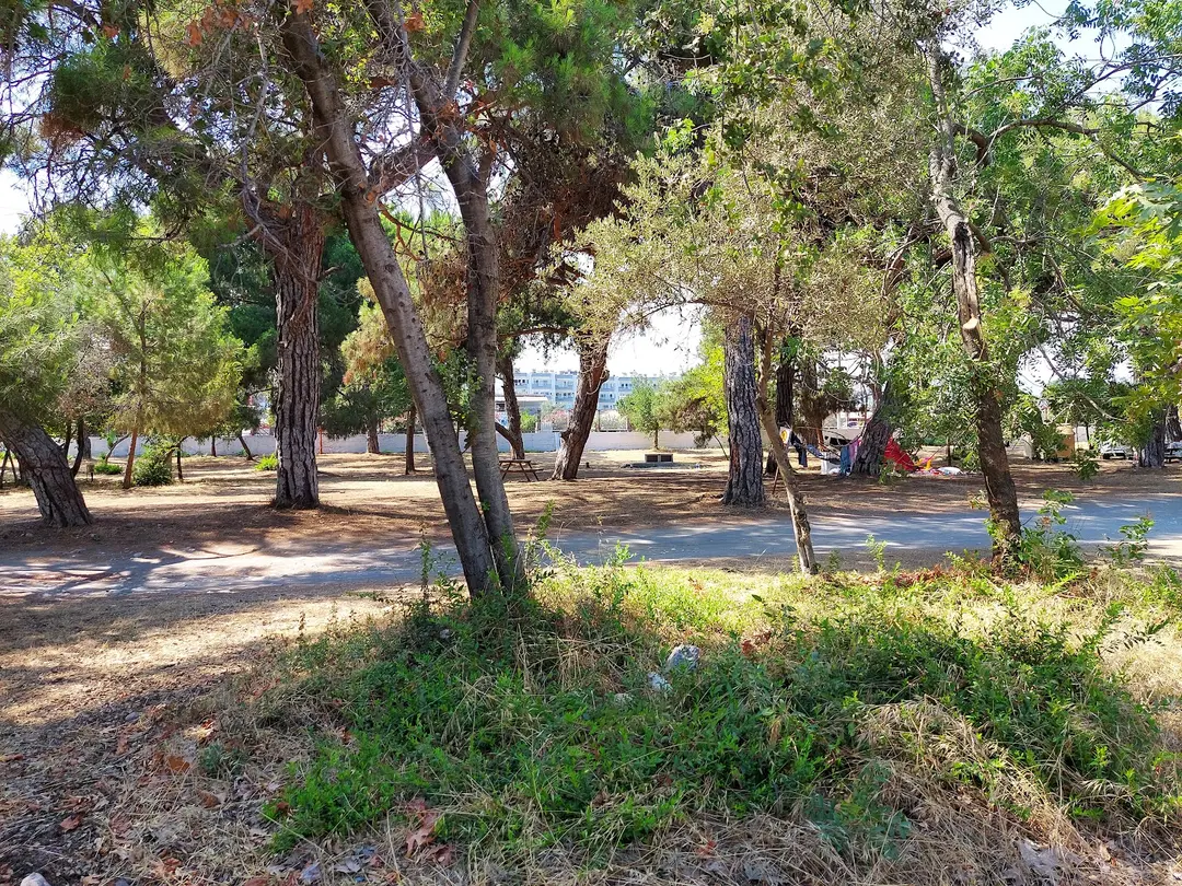 Erdemli Çamlığı Trekking Alanı — Mersin — fotoğraf 1