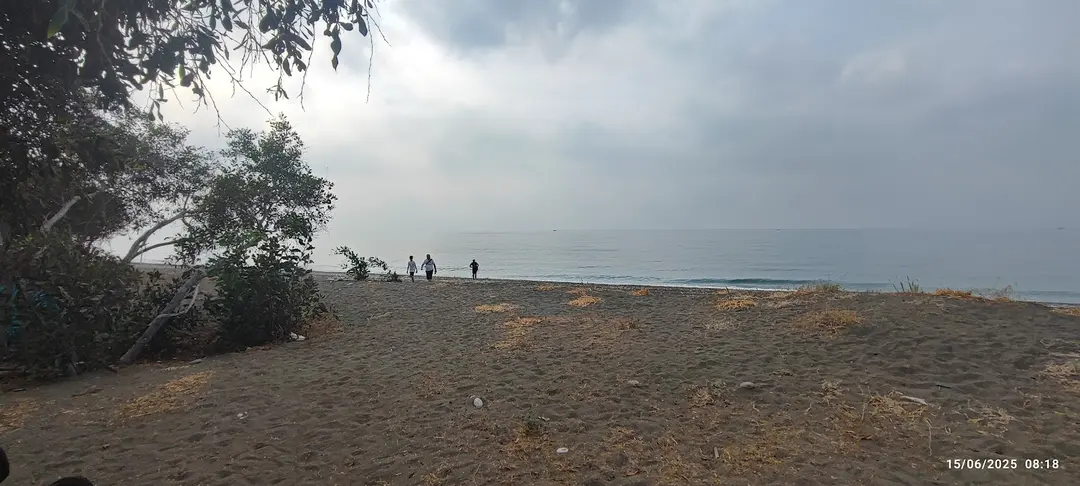 PARQUE NATURAL DKMP TALAT GÖKTEPE — Mersin — küçük resim 6