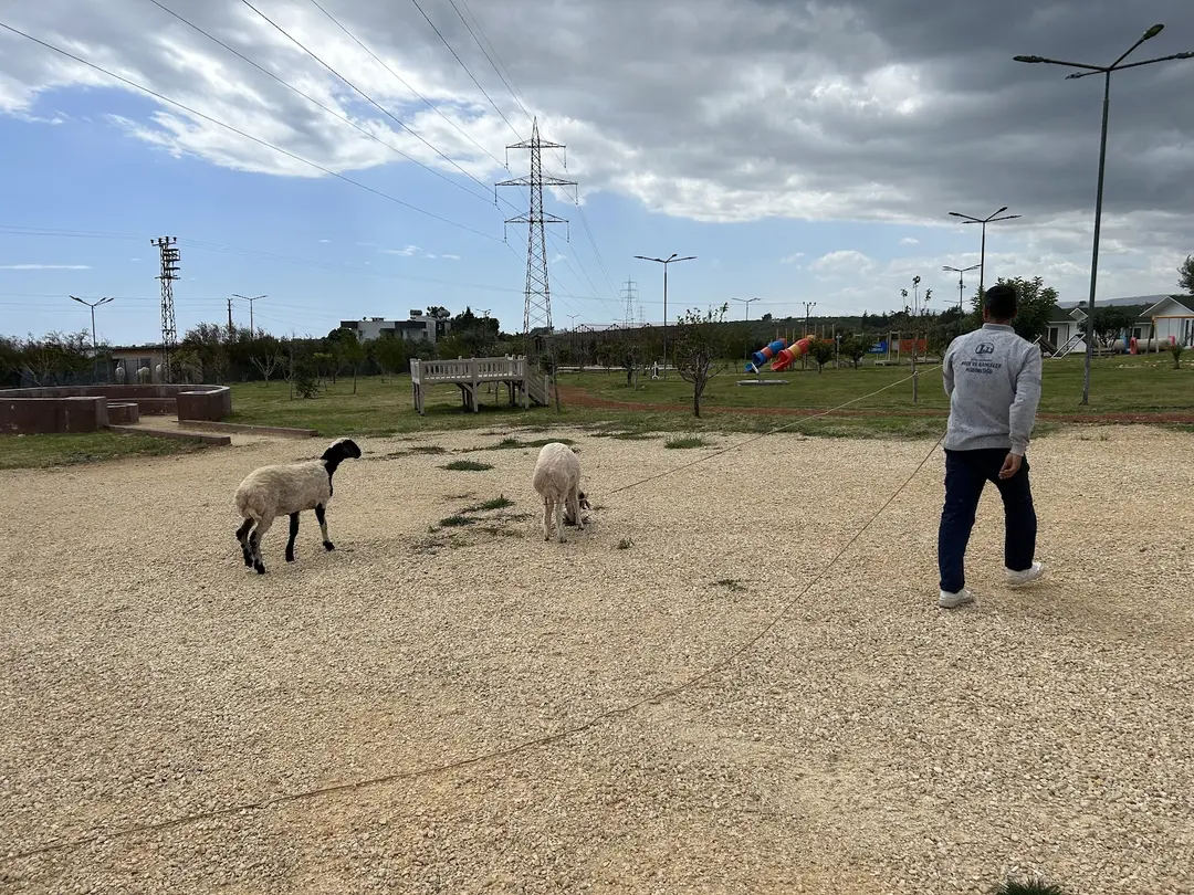 Mezitli belediyesi mutlu yaşam köyü — Mersin — küçük resim 8