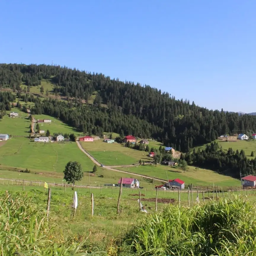 Trabzon Doğu Karadeniz Youth Camp — Trabzon — küçük resim 7