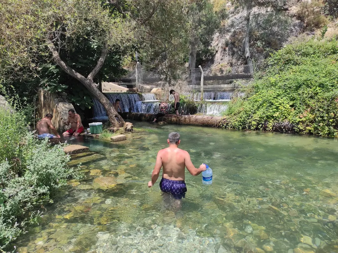soğuksu kamp ve piknik alanı — Mersin — küçük resim 3
