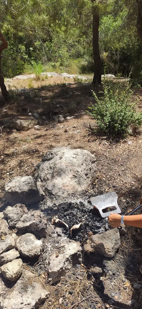 Free Ücretsiz Camp alanı — Mersin — küçük resim 3