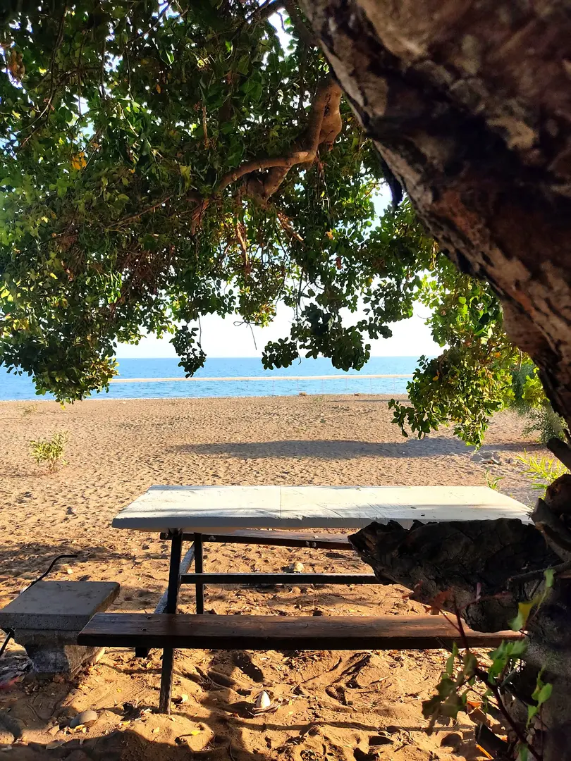 Talat Göktepe Çamlığı Piknik Alanı — Mersin — küçük resim 5
