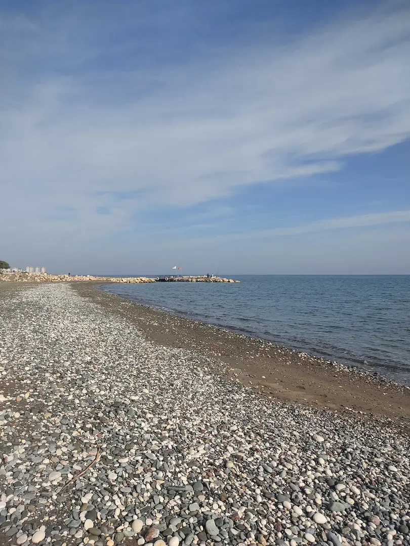 Talat Göktepe Çamlığı Piknik Alanı — Mersin — küçük resim 4