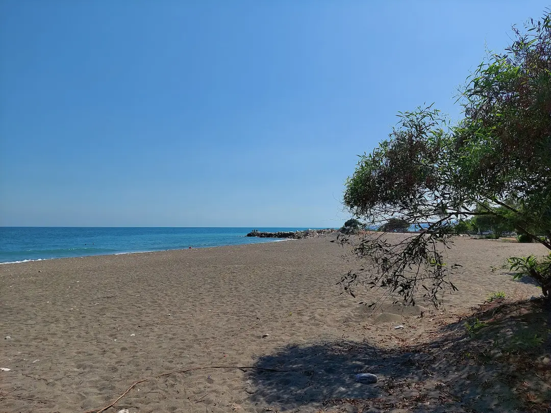 Talat Göktepe Çamlığı Piknik Alanı — Mersin — küçük resim 3