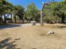 Talat Göktepe Çamlığı Piknik Alanı