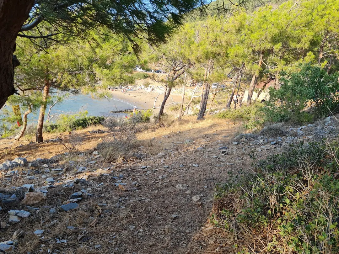 Aydıncık Tabiat Parkı — Mersin — küçük resim 10