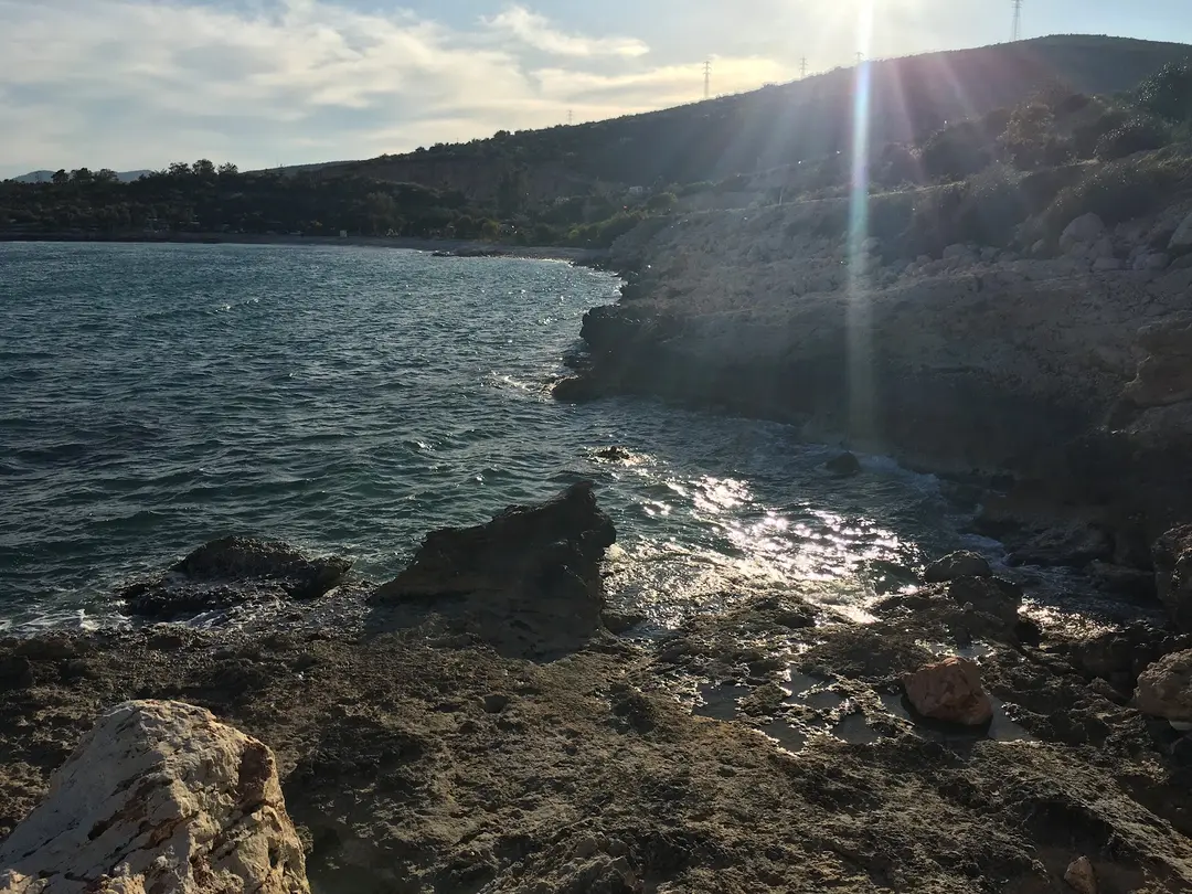 Mediterranean Monk Seal Habitat — Mersin — küçük resim 4
