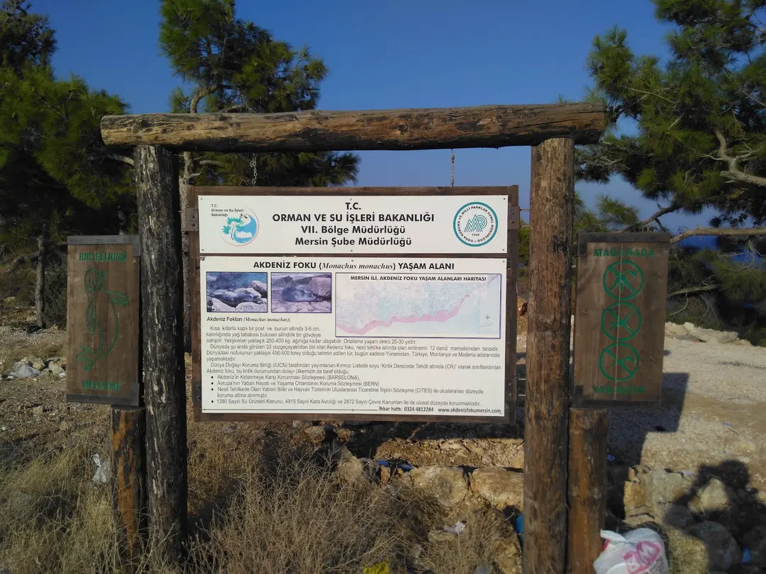 Mediterranean Monk Seal Habitat — Mersin — küçük resim 6