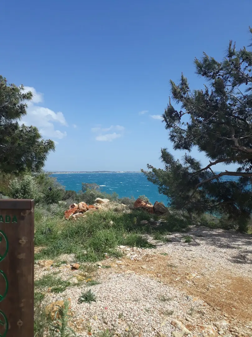 Mediterranean Monk Seal Habitat — Mersin — küçük resim 10
