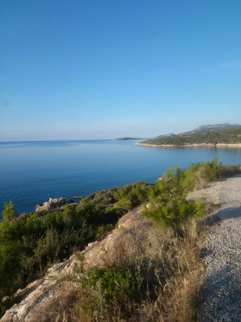 Mediterranean Monk Seal Habitat — Mersin — küçük resim 2