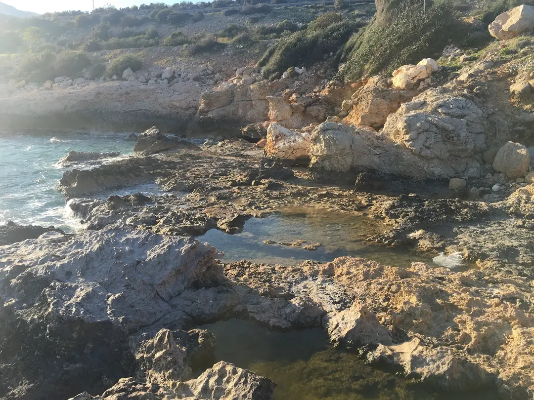 Mediterranean Monk Seal Habitat — Mersin — küçük resim 7