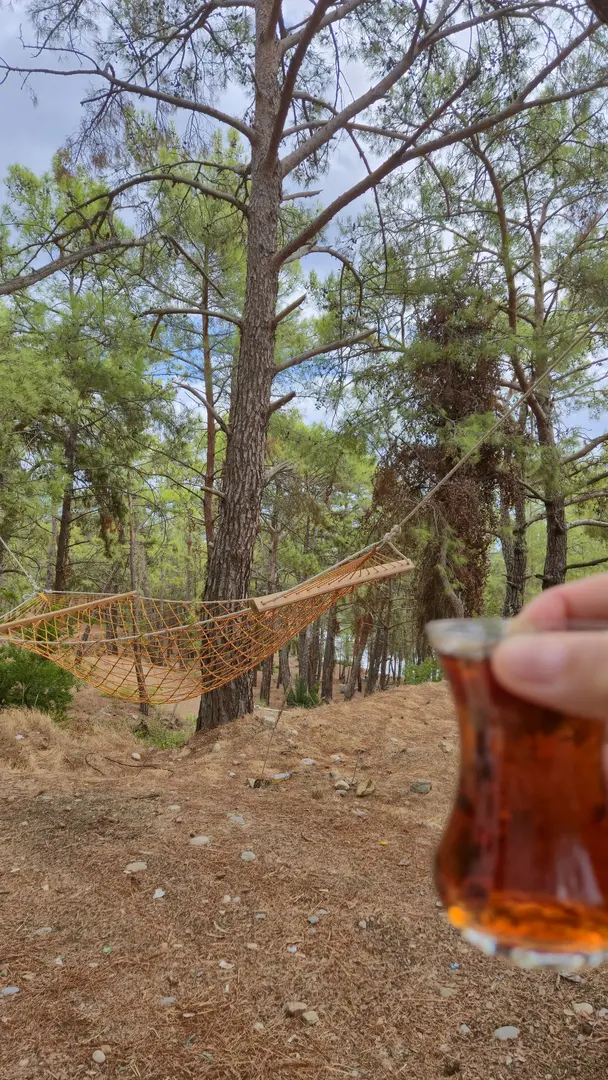 Dikilitaş Tabiat Ve Kamp Alanı Girişi — Mersin — küçük resim 6
