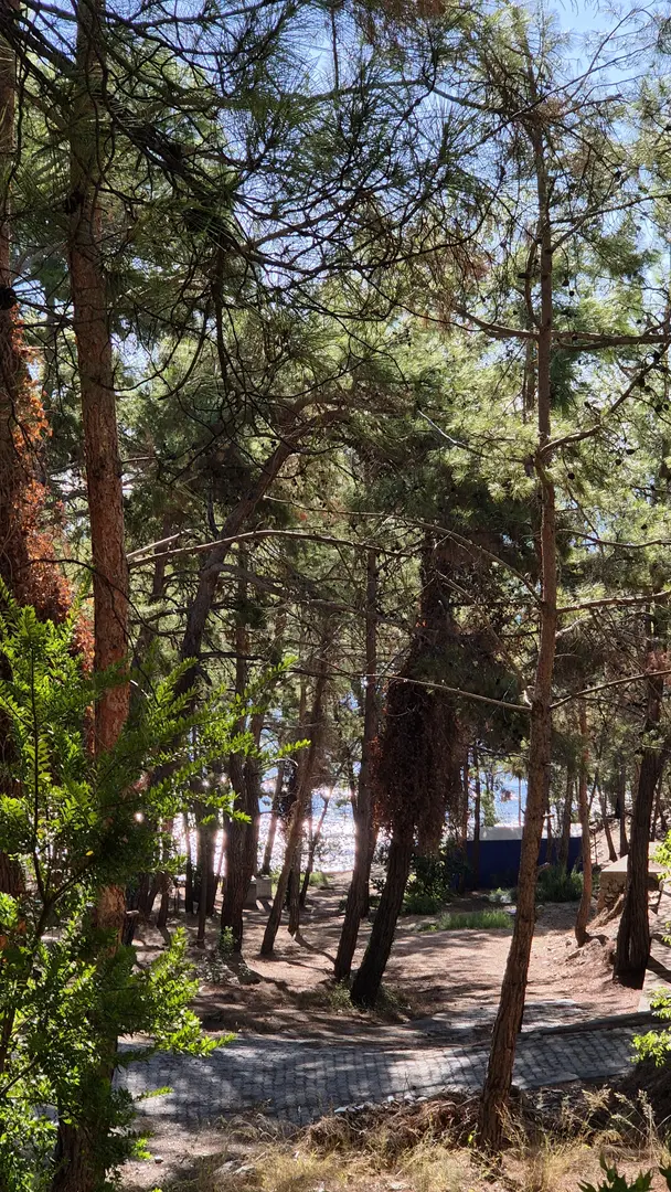 Dikilitaş Tabiat Ve Kamp Alanı Girişi — Mersin — küçük resim 9
