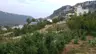 Sinap Yaylası