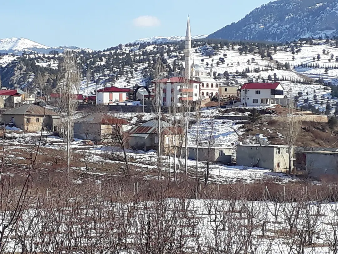 Arslanköy