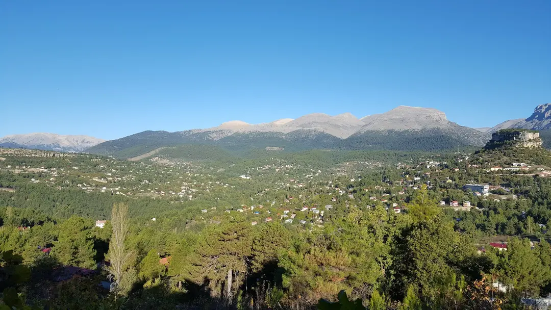 Çamlıyayla