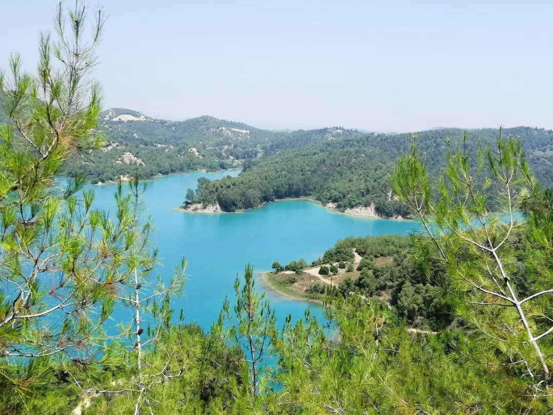 Karadenizliler Ormanı — Adana — küçük resim 2