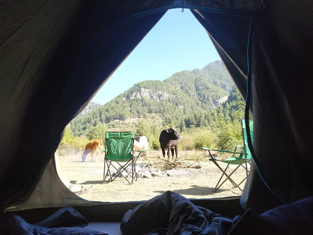 ADOST Belemedik Campingplass (Adana Natur Sportsforening) — Adana — küçük resim 9
