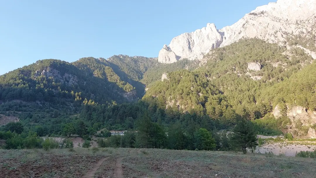 ADOST Belemedik Campingplass (Adana Natur Sportsforening) — Adana — küçük resim 5