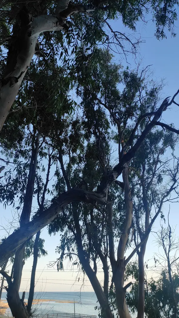 Magarsus and Babacan Camping — Adana — küçük resim 8