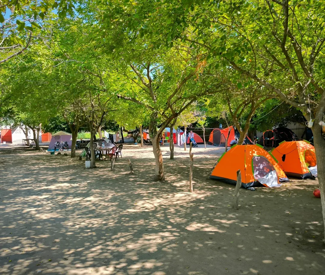 Toprak Kamping — Adana — küçük resim 3