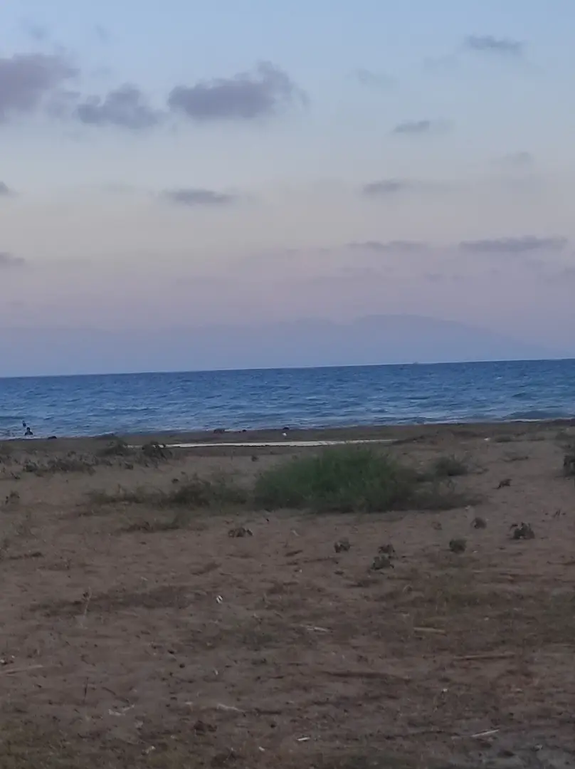 Zeytinbeli Municipality Camping Area — Adana — küçük resim 8