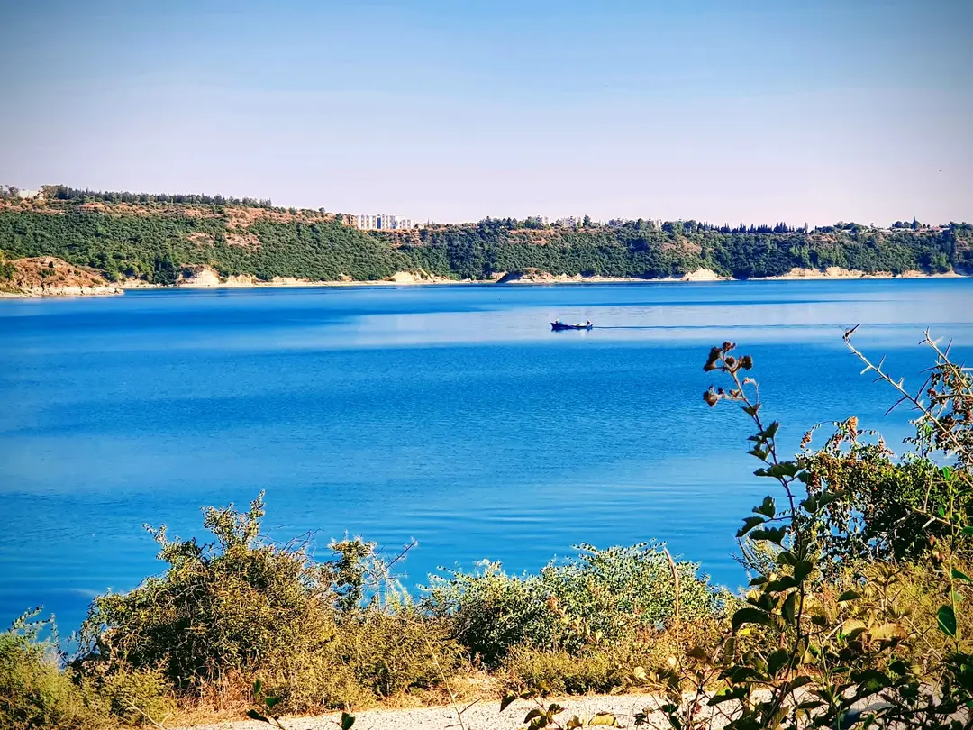 Piknik Alanları Ve Çay Bahçeleri