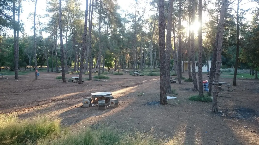 DSI-Çamlık Picnicområde — Adana — fotoğraf 1