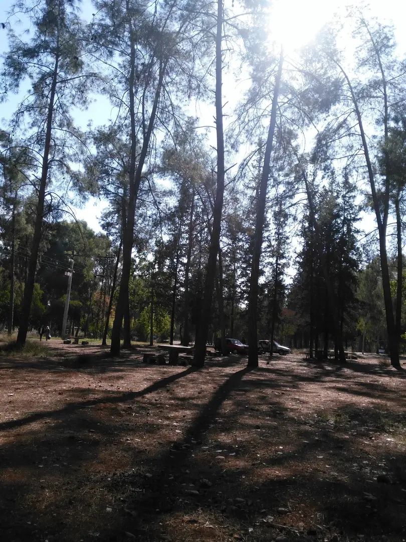 DSI-Çamlık Picnicområde — Adana — küçük resim 6