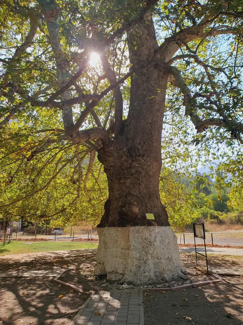 Belemedik Tabiat Parkı — Adana — küçük resim 6