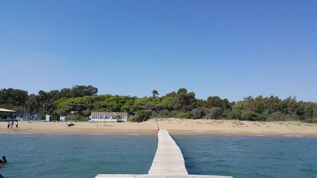Çukurova University Camping Area — Adana — küçük resim 3