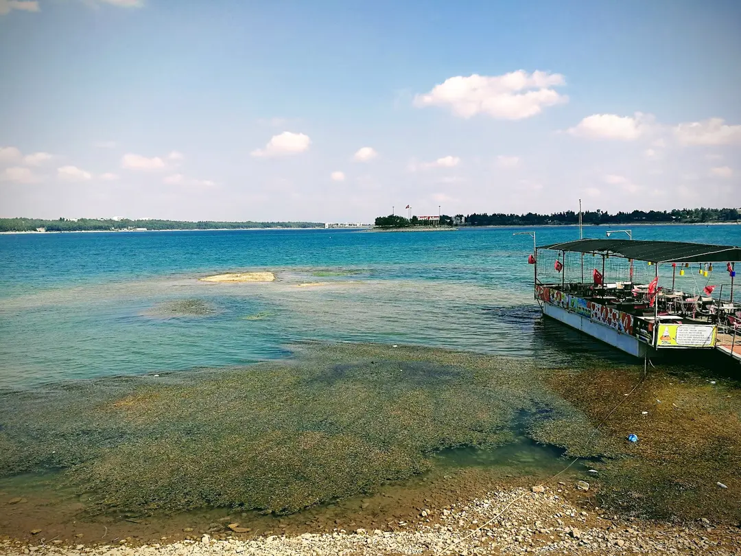 Menderes Island Picnic Area — Adana — küçük resim 8